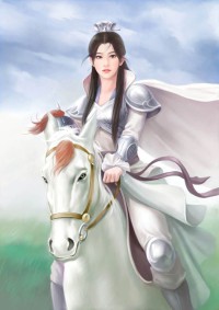 傲娇党NP