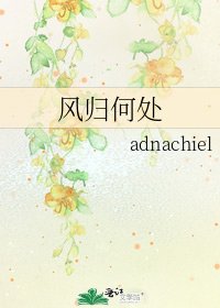 风归何处